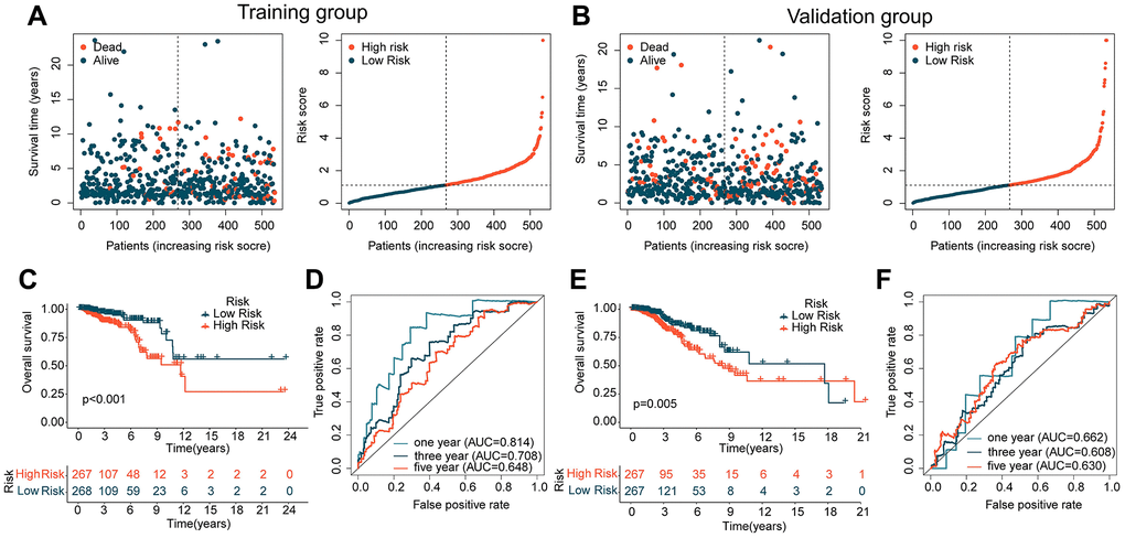 Analysis of ICDRLs prognostic features in different independent cohorts. (A, B) Risk subgroups based on ICDRLs prognostic features in the training and validation cohorts. (C) Clinical prognostic survival analysis in the training cohort. (D) Time-related ROC curve analysis in the training cohort. (E) Clinical prognostic survival analysis in the validation cohort. (F) Time-related ROC curve analysis in the validation cohort.