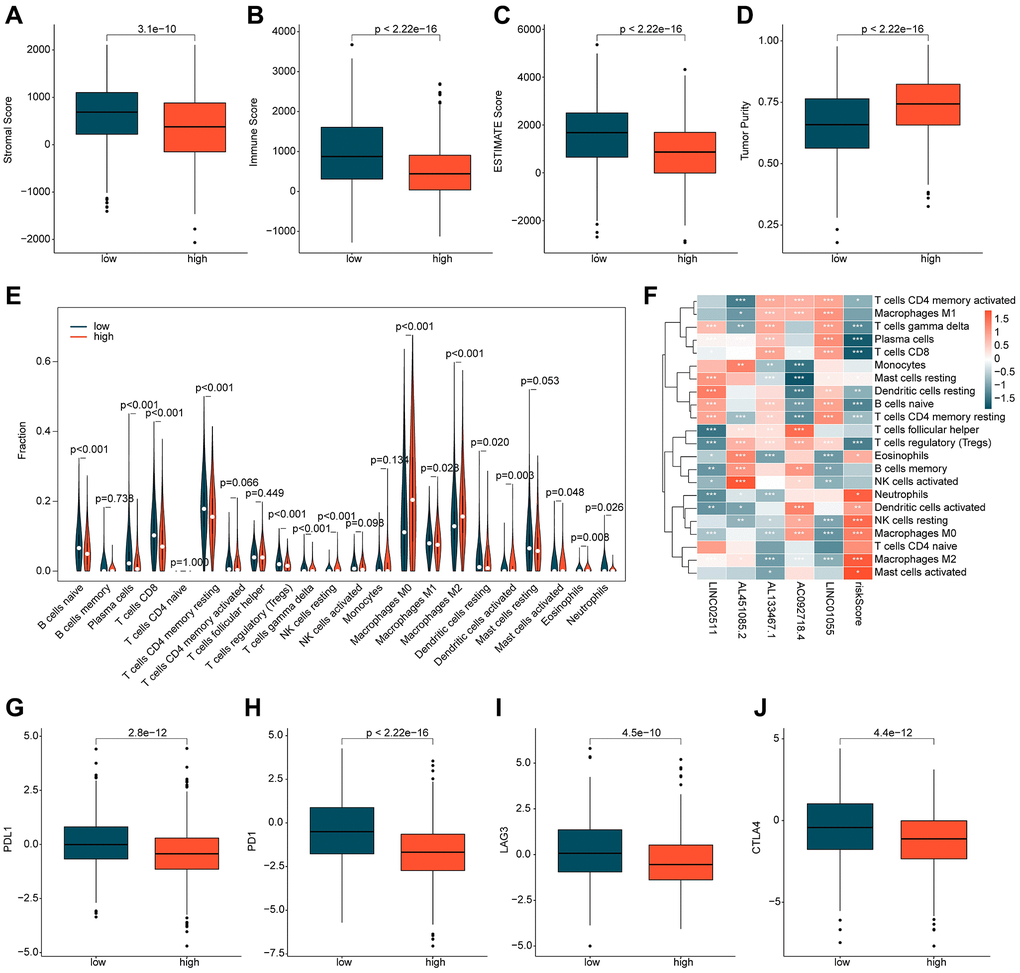 Immune infiltration assessment of ICDRLs risk subgroups. (A–D) Evaluation of immune status. (E) Evaluation of the proportions of 22 immune cells. (F) Analysis of the correlation between ICDRLs prognostic features, prognostic factors, and immune-infiltrating cells. (G–J) Analysis of the expression profiles of immune checkpoints in ICDRLs risk subgroups.