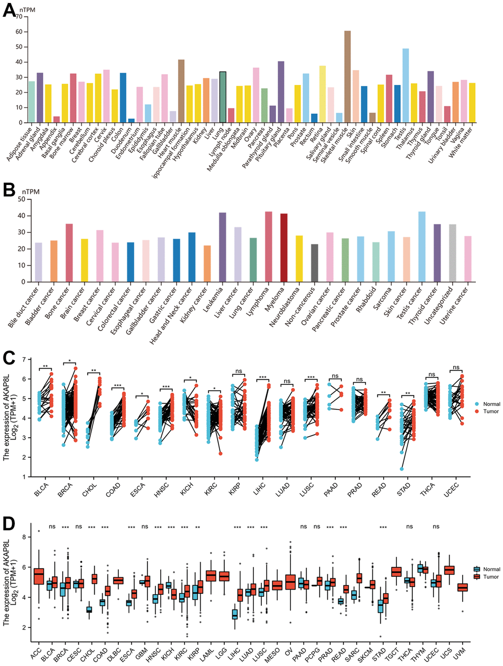 Expression level of AKAP8L gene in tumors and normal tissues. (A) AKAP8L expression in normal tissues; (B) AKAP8L expression in tumor cell lines; (C) AKAP8L expression in TCGA tumors and adjacent normal tissues; (D) AKAP8L expression in TCGA tumors and normal tissues (*p 