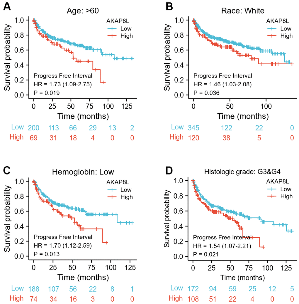 Associations between AKAP8L expression and the PFI in different clinical subgroups of KIRC. (A) Age > 60; (B) Race: White; (C) Hemoglobin: Low; (D) Histologic grade: G3&G4.