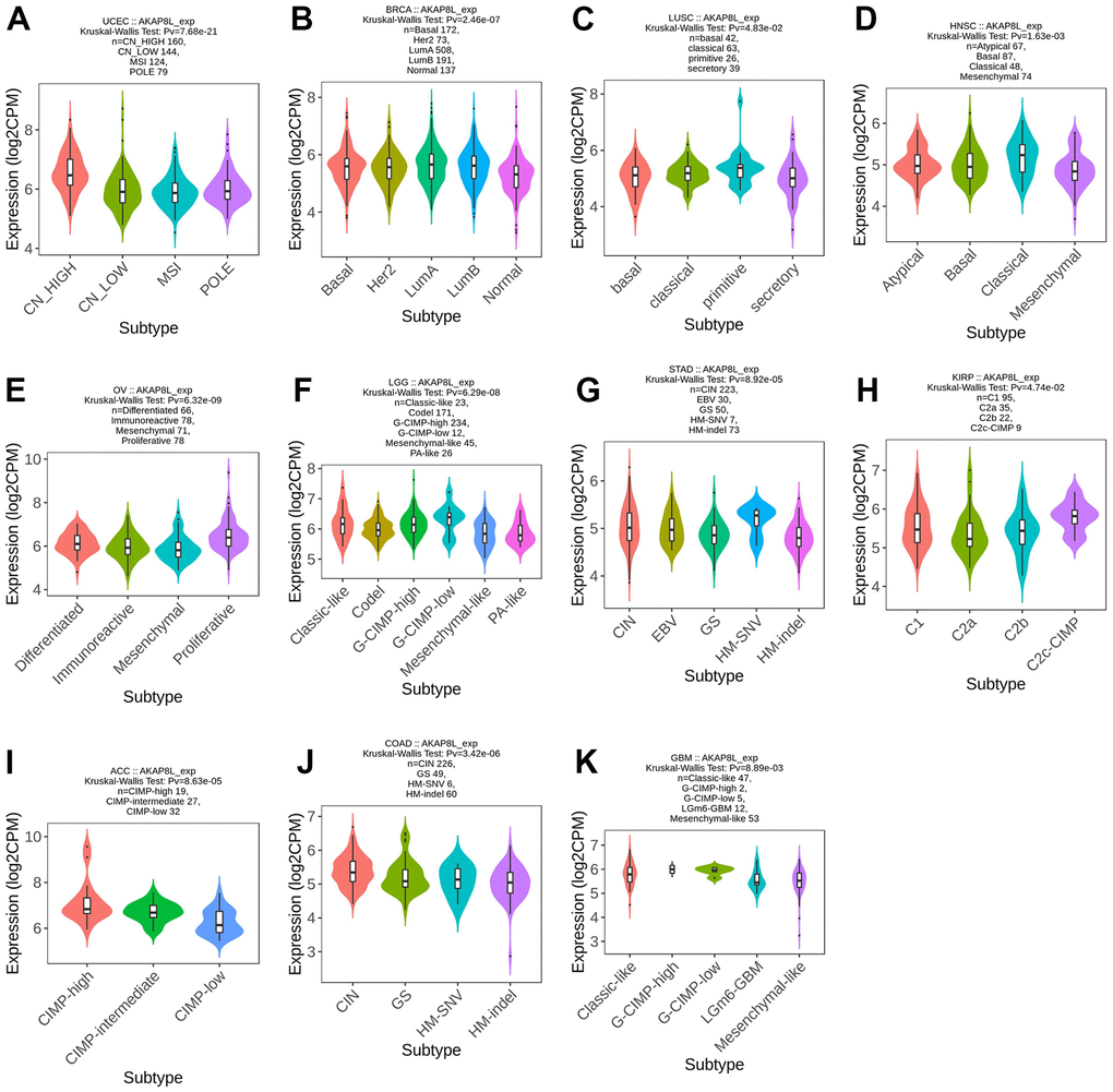 Correlations between AKAP8L expression and molecular subtypes across TCGA tumors. (A) UCEC; (B) BRCA; (C) LUSC; (D) HNSC; (E) OV; (F) LGG; (G) STAD; (H) KIRP; (I) ACC; (J) COAD; (K) GBM.