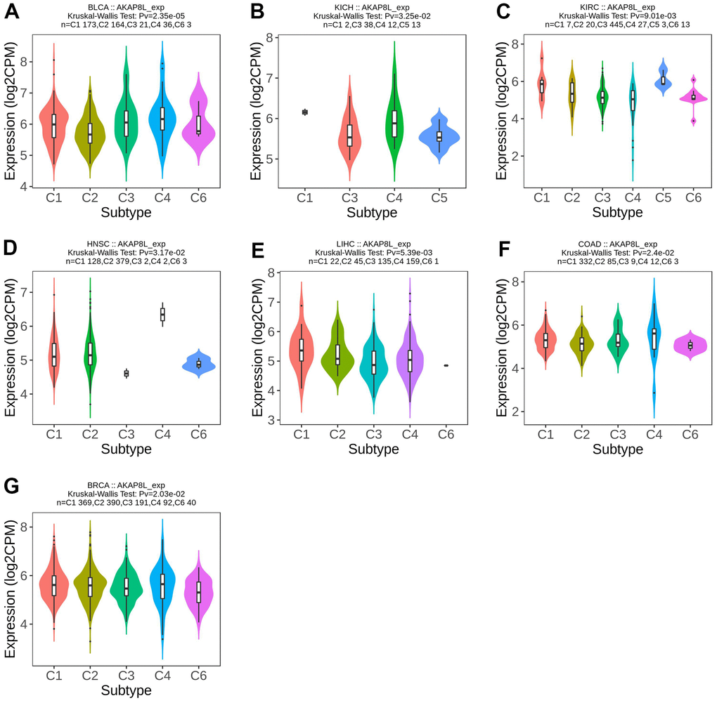 Correlations between AKAP8L expression and immune subtypes across TCGA tumors. (A) BLCA; (B) KICH; (C) KIRC; (D) HNSC; (E) LICH; (F) COAD; (G) BRCA.