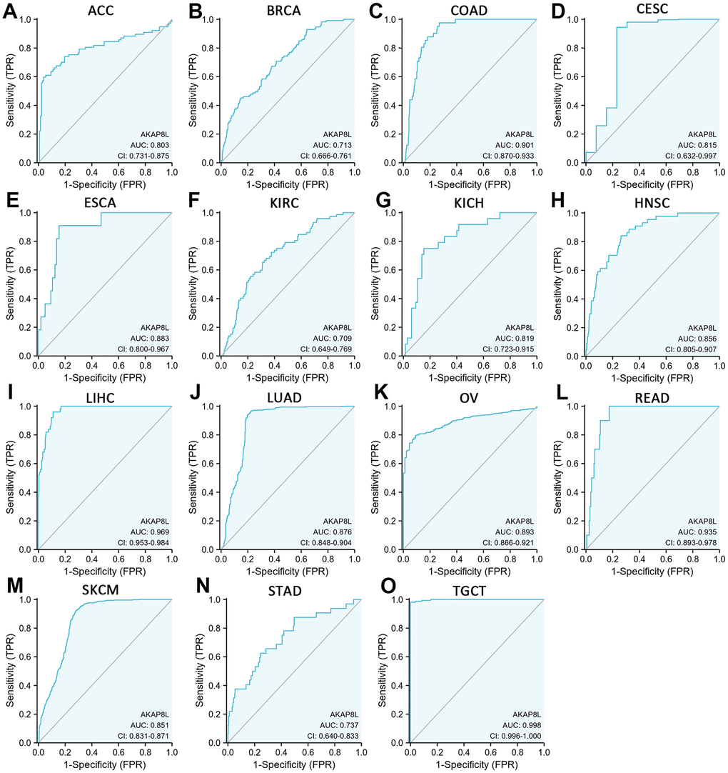 Receiver operating characteristic (ROC) curve for AKAP8L expression in pan-cancer. (A) ACC; (B) BRCA; (C) COAD; (D) CESC; (E) ESCA; (F) KIRC; (G) KICH; (H) HNSC; (I) LIHC; (J) LUAD; (K) OV; (L) READ; (M) SKCM; (N) STAD; (O) TGCT.