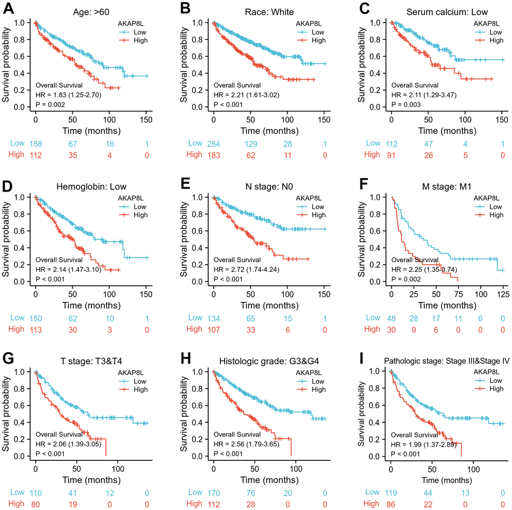 Associations between AKAP8L expression and the OS in different clinical subgroups of KIRC. (A) Age > 60; (B) Race: White; (C) Serum calcium: Low; (D) Hemoglobin: Low; (E) N stage: N0; (F) M stage: M1; (G) T stage: T3&T4; (H) Histologic grade: G3&G4; (I) Pathologic stage: Stage III & Stage IV.