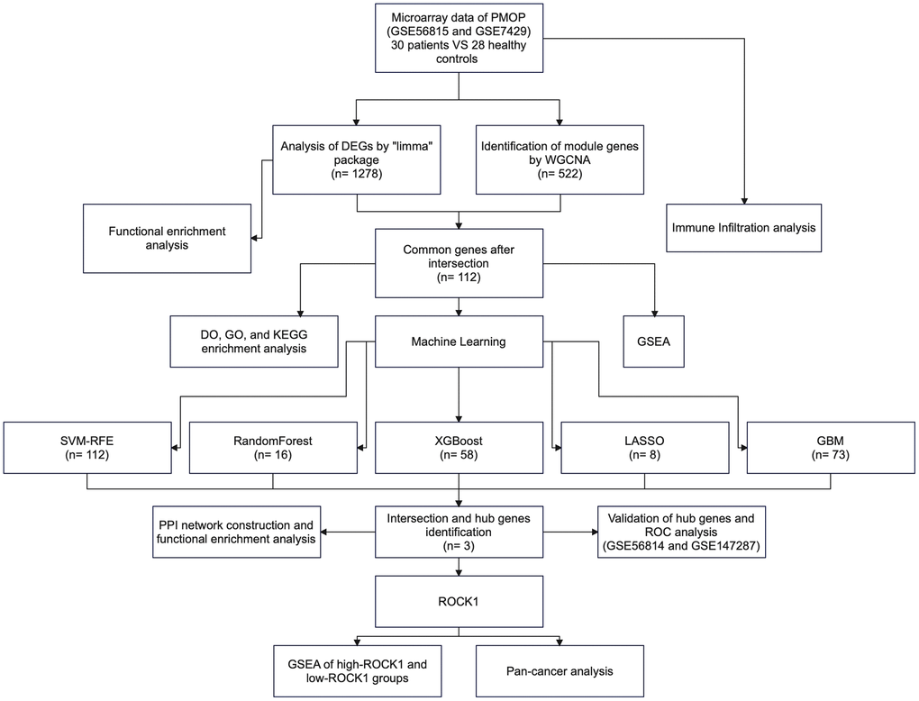 The flowchart of the study process.