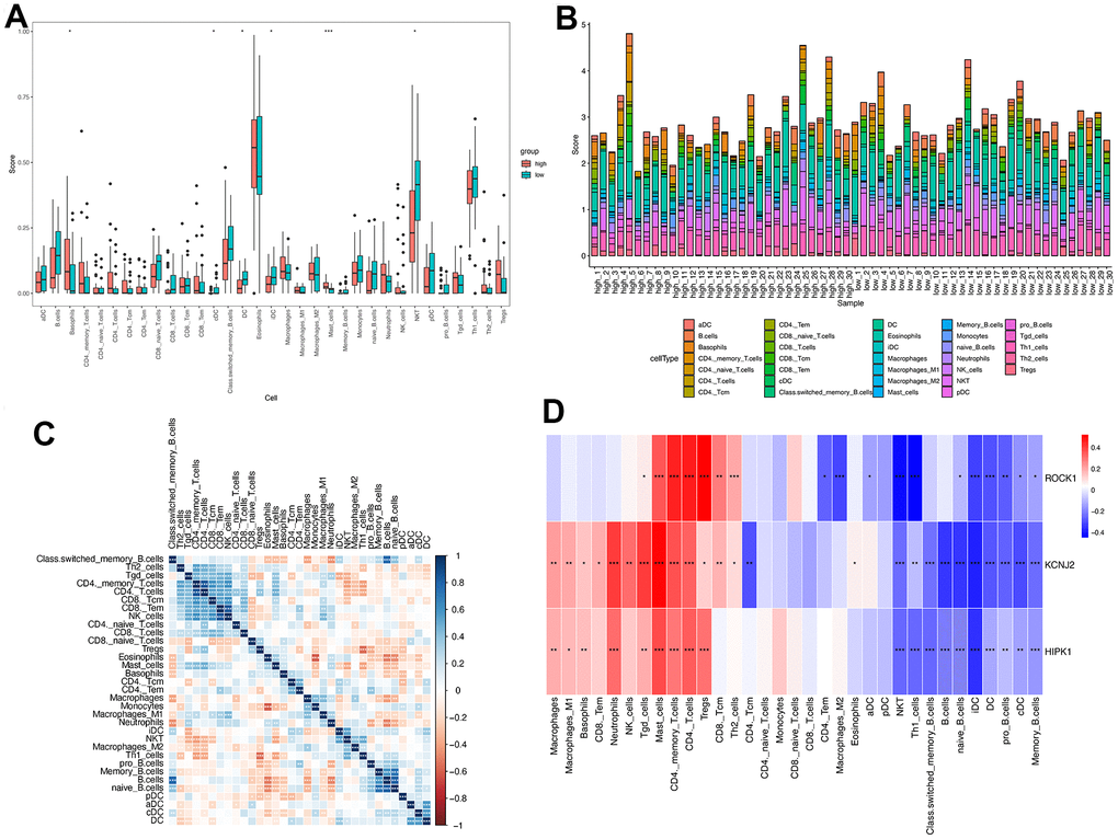 Immune cell infiltration analysis on PMOP. The proportion of 33 kinds of immune cells in PMOP patients and controls was visualized from the box plot (A) and the bar plot (B). (C) Correlation of 33 immune cell type compositions in PMOP. (D) Correlation between the expression of 33 immune cells and three hub genes in PMOP. *, p 