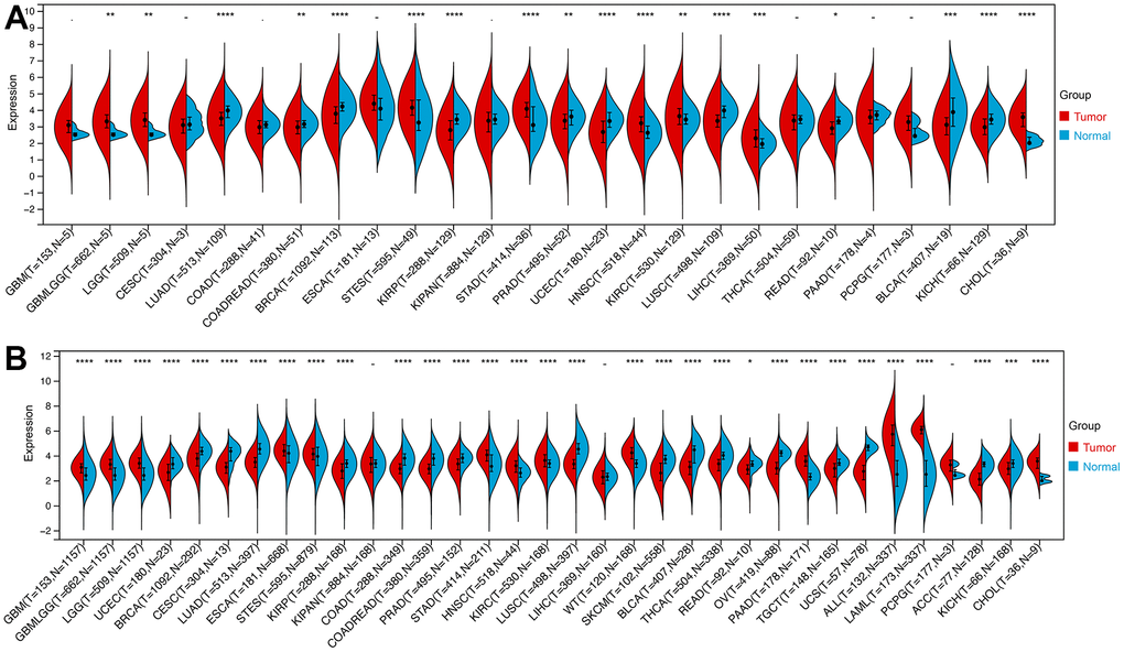 The expression of ROCK1 in Pan-cancer. (A) Pan-cancer expression levels of ROCK1 in the TCGA dataset. (B) Pan-cancer expression levels of ROCK1 in the TCGA and GTEx datasets. *p 