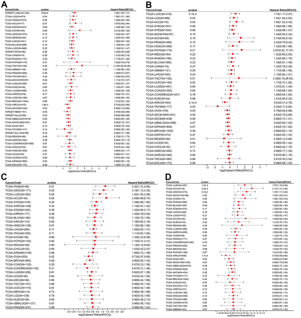 ROCK1 and survival situations. (A–D) Forest plots of ROCK1 expression and OS, DSS, DFI, and PFA. OS, overall survival; DSS, disease-specific survival; DFI, disease-free interval; PFI, progression-free interval; HR, hazard ratio.