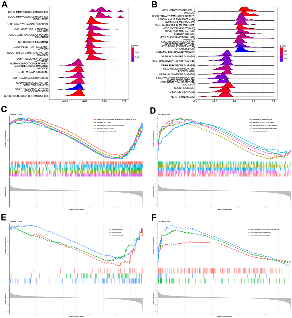 GSEA of high and low ROCK1 subgroup. Ridge map showed the GO (A) and KEGG (B) enrichment analysis results of all DEGs by GSEA. GSEA plot with DEGs and the top five GO terms enriched in high ROCK1 (C) and low ROCK1 (D) subgroup. GSEA plot with DEGs and the top three KEGG terms enriched in high ROCK1 (E) and low ROCK1 (F) subgroup.