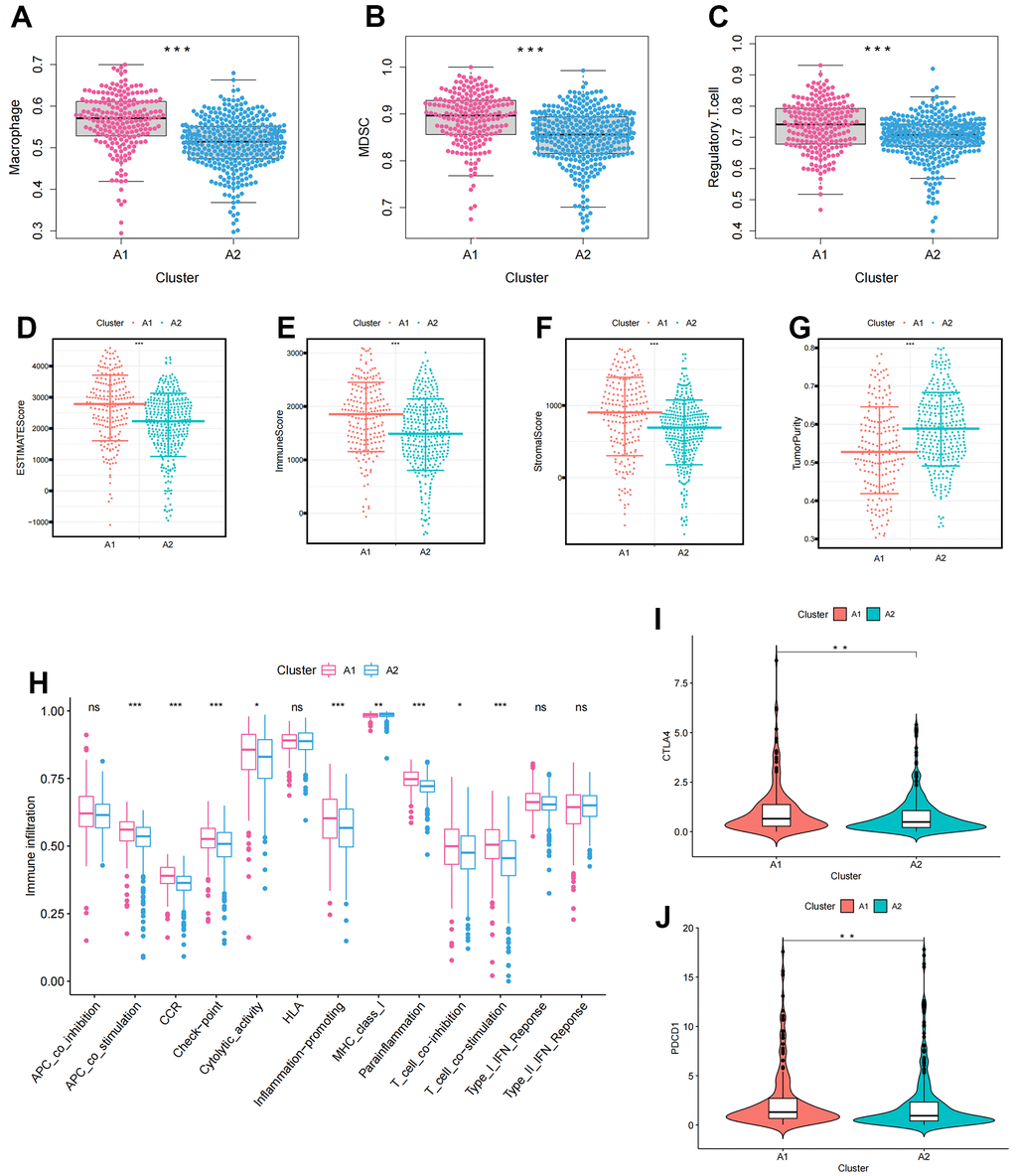 The immune infiltration characteristics in anoikis-related clusters. (A–C) The differential expression of immunosuppressive cells between clusters (A) Macrophage; (B) MDSC; (C) Regulatory.T.cell; (D–G) The differences in tumor microenvironment characteristics between clusters (D) ESTIMATEScore; (E) ImmuneScore; (F) StromalScore; (G) TumorPurity; (H) Boxplots showing the differences in immune function between clusters; (I, J) Differences in immune checkpoint expression between clusters (I) CTLA4; (J) PDCD1. The asterisks represented the statistical p-value (*p