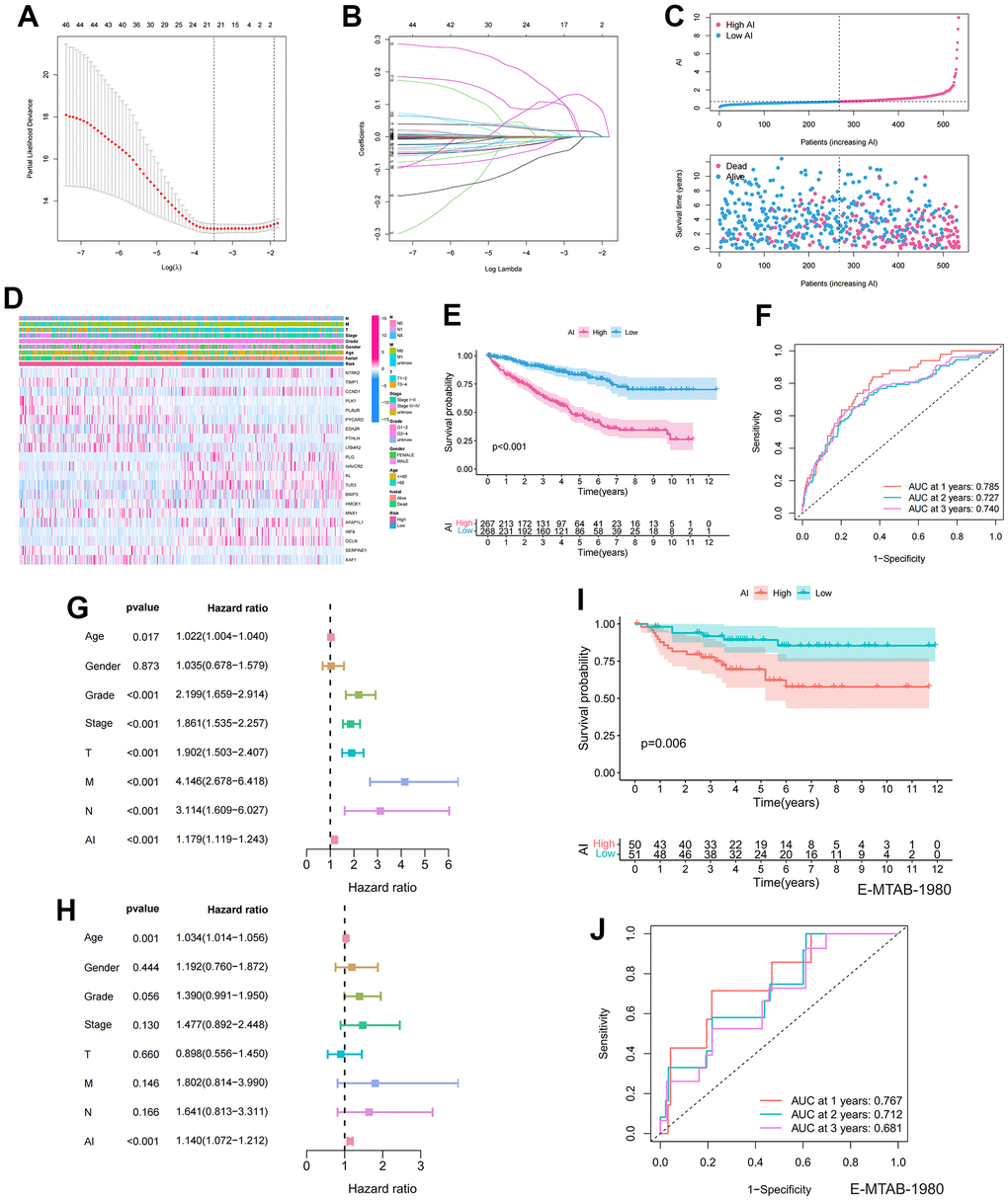 Establishment and prognostic features of Anoikis index. (A, B) Lasso analysis of prognostic ARGs with minimum lambda value; (C) The risk curve of each sample reordered by AI and the scatter plot of the sample survival overview. The blue and pink dots represent survival and death, respectively; (D) The distribution of anoikis-related genes expression profile and clinicopathological characteristics in AI; (E) Overall survival curve showing the prognostic difference between high and low AI group; (F) ROC curves about AI in 1,2,3 years; (G, H) The univariate and multivariate Cox regression analysis of AI, age, gender, grade, stage, TMN stage; (I) Differences in survival between high and low AI groups in the E-MTAB-1980 cohort; (J) ROC curves about AI in 1,2,3 years in the E-MTAB-1980 cohort.