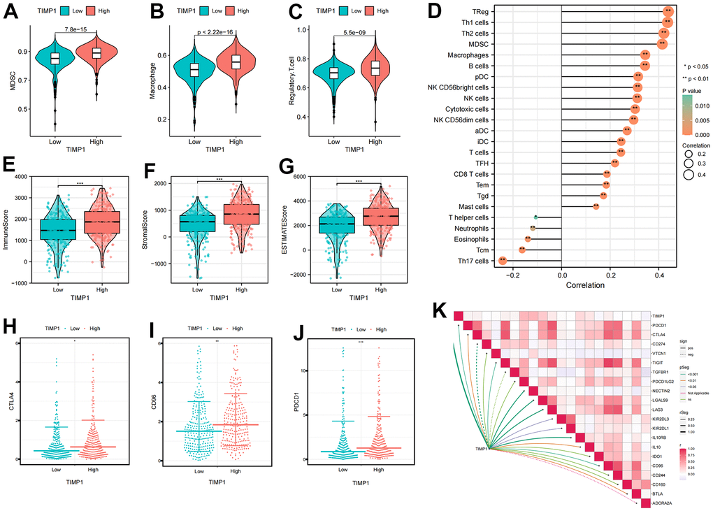 Identification the immune infiltration characteristics of TIMP1 in ccRCC. (A–C) The differential expression of immunosuppressive cells between high and low TIMP1 groups (A) MDSC; (B) Macrophage; (C) Regulatory.T.cell; (D) The correlation of TIMP1 expression profile with immune cells in ccRCC; (E–G) The differential expression of tumor microenvironment scores between high and low TIMP1 groups (E) ImmuneScore; (F) StromalScore; (G) ESTIMATEScore; (H–J) The differential expression of immune checkpoints between high and low TIMP1 groups (H) CTLA4; (I) CD96); (J) PDCD1; (K) The correlation of TIMP1 expression profile with immunosuppressive checkpoints in ccRCC.