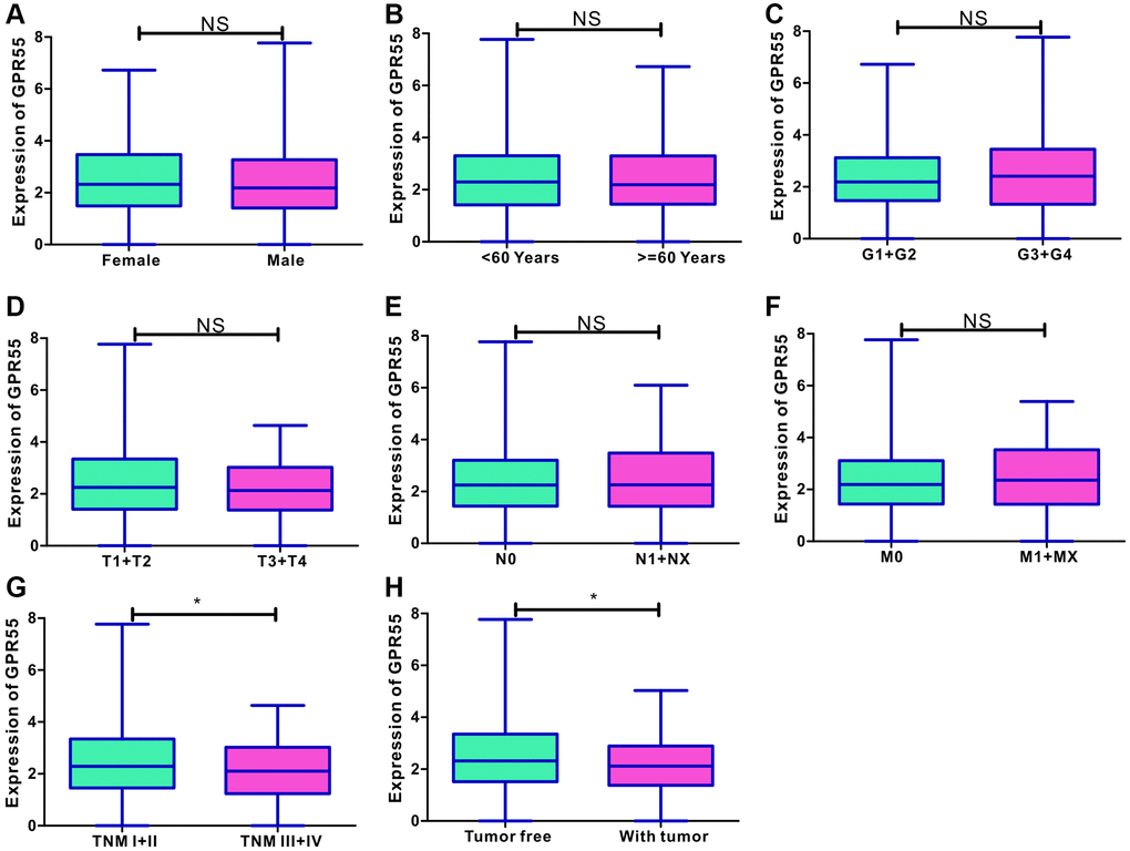 (A–F) Correlation analysis of GPR55 with age, sex, histological grade, TNM stage and tumor status. (G, H) The dot plots of GPR55 expression in HCC individuals with TNM I/II stage, and in tumor free individuals. (*P 