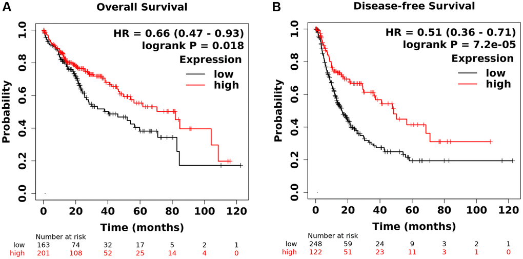 (A) Analysis of total survival of GPR55. (B) Analysis of disease-free survival of GPR55.