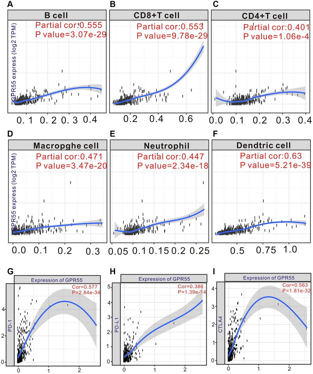 (A–F) TIMER analysis of GPR55 expression and different infiltrating immune cells in HCC tissue. (G–I) TIMER analysis of GPR55 expression and different immunotherapy in HCC tissue.