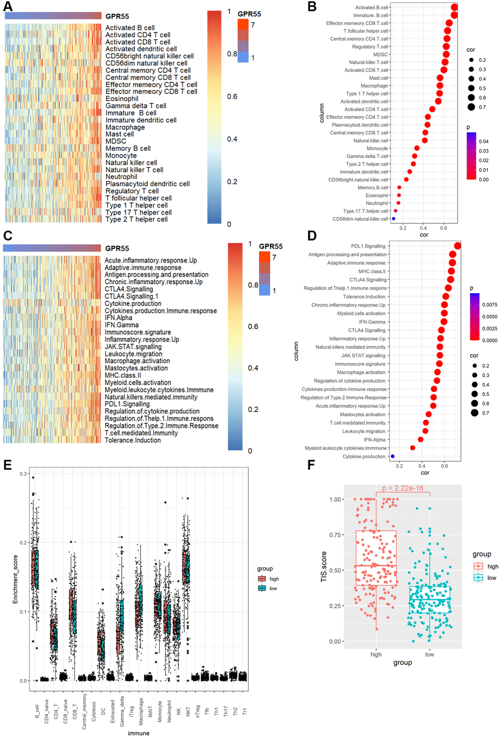 (A) Heat map of GPR55 expression in various immune cells. (B) Bubble diagram of correlation between GPR55 and various immune cells. (C) Heat map of GPR55 expression in various immune cell reactions. (D) Bubble diagram of correlation analysis between GPR55 and various immune cell reactions. (E) Enrichment fraction of GPR55 high and low expression subgroups in immune cells. (F) Analysis of TIS scores in high and low expression groups of GPR55.