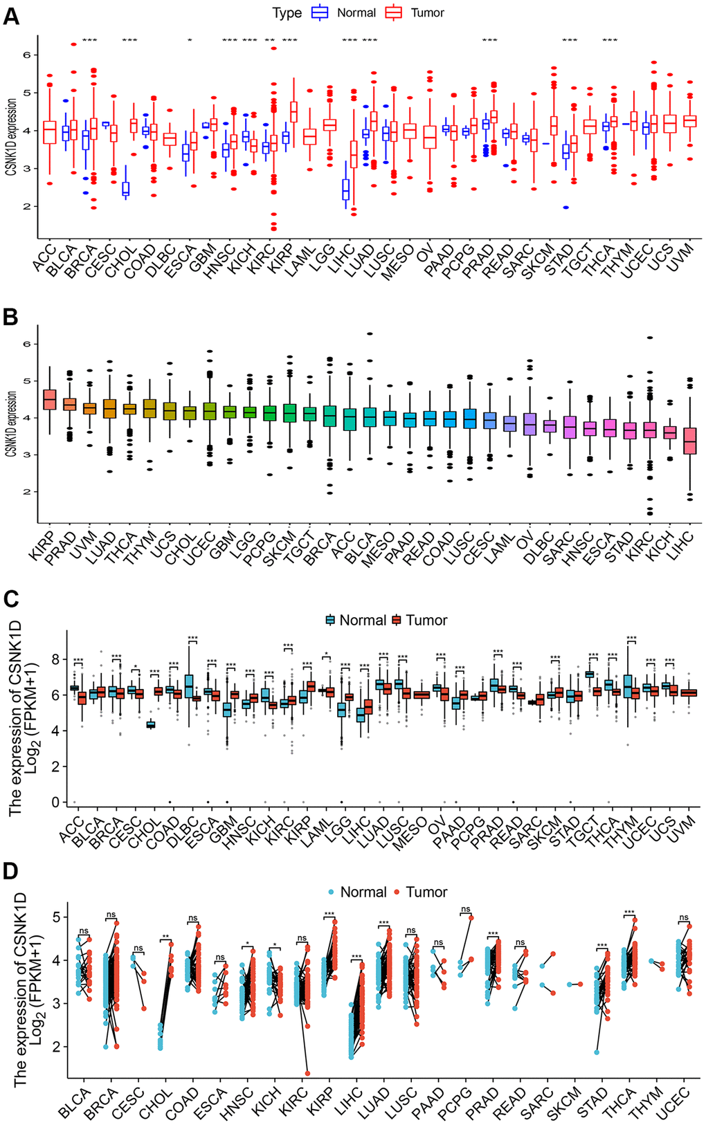 The expression level of CSNK1D in multiple human cancers. (A) CSNK1D expression levels in different cancers with TCGA data. (B) The expression levels of CSNK1D in cancers were sorted from highest to lowest. (C) CSNK1D expression levels in different cancers with TCGA combined with GTEx database. (D) The paired comparison analysis of expression differences of CSNK1D in tumor and corresponding adjacent tissues. ns, p ≥ 0.05. *p **p ***p ****p 