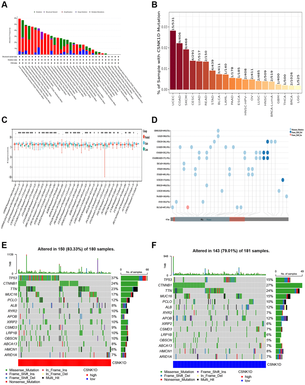 Distinct genetic alteration profiles of CSNK1D in pan-cancer based on the TCGA database. (A) Genetic alteration landscape (Mutation, Structural Variant, Amplification, and Deep Deletion) of CSNK1D in pan-cancer based on the TCGA database through the cBioPortal tool. (B) Mutation rate of CSNK1D among tumors by the TIMER tool. (C) CNVs of CSNK1D in various tumors by SangerBox portal. (D) SNVs of CSNK1D among different types of the tumor via SangerBox tool. (E) Tumor somatic mutation waterfall graph in CSNK1D high group based on TCGA-LIHC database. (F) Tumor somatic mutation waterfall graph in CSNK1D low group based on TCGA-LIHC database.