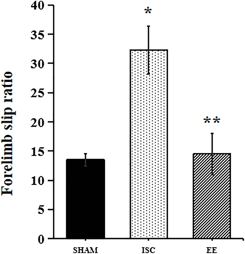 Performance in behavioral tests. Forelimb slip ratio in the beam-walking (n = 6). Statistical significance: *P **P 