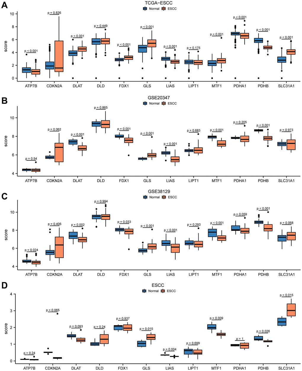 Differential expression of 12 CRGs between ESCC tissues and normal tissues in four cohorts. The expression levels of 12 genes from TCGA-ESCC dataset (A), GSE20347 dataset (B), GSE38129 dataset (C), ESCC dataset (D) in ESCC tissue and normal tissue.