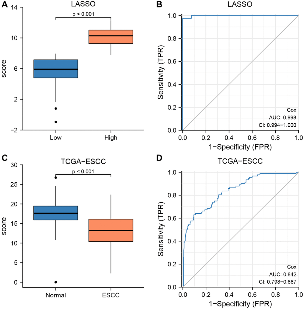 The prognostic value of the LASSO-Cox regression prognosis risk model in TCGA-ESCC dataset. (A, B) Boxplots (A) and ROC curve (B) for the risk score levels in the low- and high-risk groups in TCGA-ESCC dataset. (C, D) Boxplots (C) and ROC curve (D) for the risk score levels in the ESCC and normal groups in TCGA-ESCC dataset.