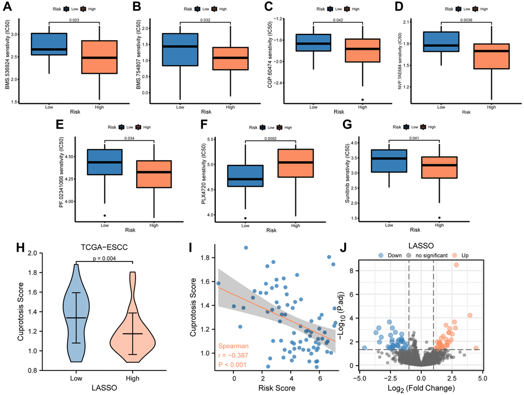 Analysis of drug sensitivity between low-and high-risk groups. (A–G) IC50 of seven drugs, including BMS.536924 (A), BMS.754807 (B), CGP.60474 (C), NVP.TAE684 (D), PF.02341066 (E), PLX4720 (F), and Sunitinib (G) differed for ESCC patients in different risk groups. (H) Difference in cuproptosis score between low- and high-risk groups in TCGA-ESCC dataset. (I) Correlations between cuproptosis score and risk score. (J) The plot showed 36 upregulated and 35 downregulated genes based on the above volcano analysis in high-risk group.