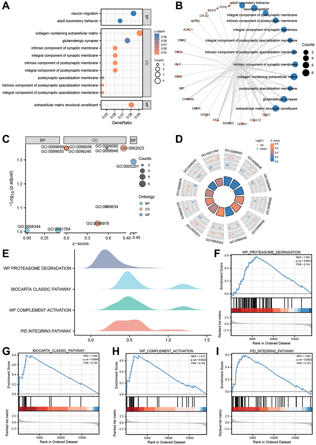 GO enrichment and genome enrichment analysis. (A) The bubble plot and (B) circos plot showing the significantly enriched GO pathways for DEGs between in TCGA-ESCC dataset. (C) The bubble plot and (D) circle plot presenting the results of GO functional enrichment analysis which standardized by logFC values. (E) Four biological characteristics for Gene sets enriched analysis in TCGA-ESCC dataset. (F–I) The GSEA showed DEGs of TCGA-ESCC dataset significantly enriched in 4 pathways, including the proteasome degradation pathway (F), biocarta classic pathway (G), complement activation pathway (H), and integrin 3 pathway (I). Ordinate in bubble plot (A) is GO terms, the color of the bubble corresponds to the magnitude of the correlation. In network plots (B), orange color dots represented the detail genes, and Navy blue circles represented the detail pathways. In the bubble plot (C), Cyan dots represented BP pathway, orange circles represented CC pathway, and the Navy blue circles represented MF pathway. In the circle plot, orange dots represented upregulated genes (logFC > 0), Navy blue dots represented downregulated genes (logFC 