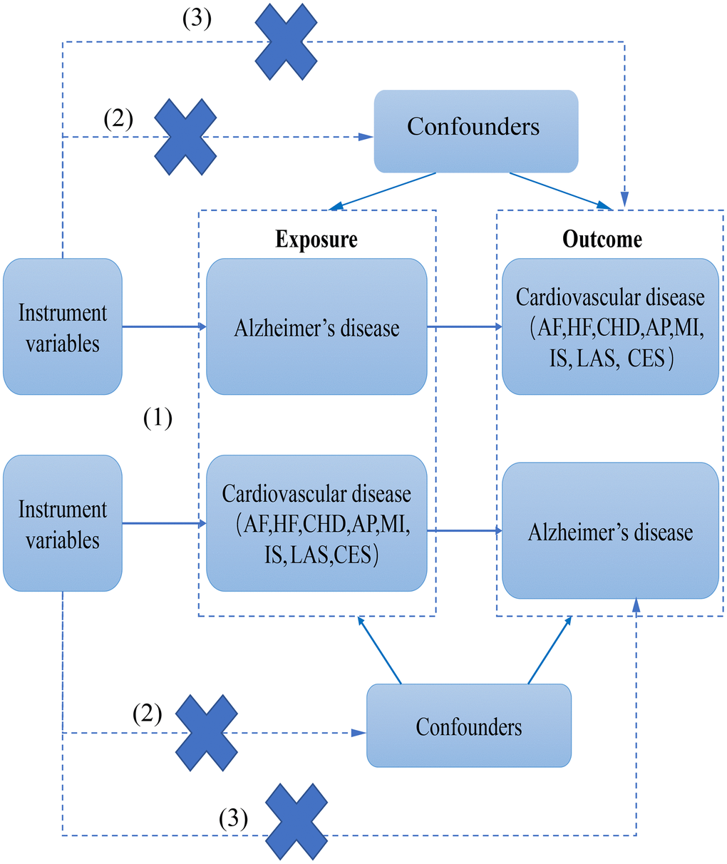 The flow chart of this study.