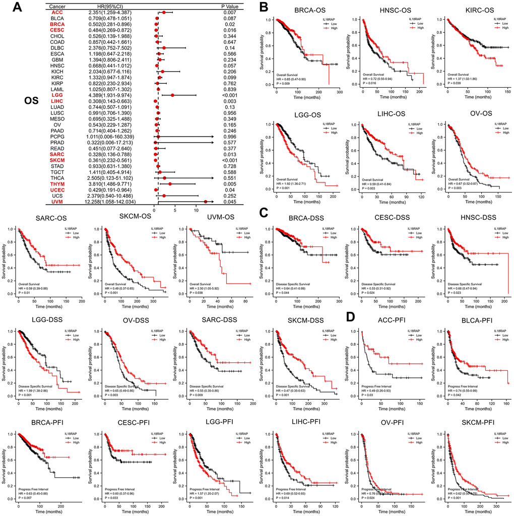 The prognostic value of IL18RAP in pan-cancer. (A) the relationship between OS and IL18RAP mRNA level in different cancers. (B) The relationship between the IL18RAP expression and OS in 9 cancers. (C) The relationship between the IL18RAP expression and DSS in 7 cancers. (D) The significant relationship between the IL18RAP expression and PFI in 8 cancers. All analyses were based on TCGA database.