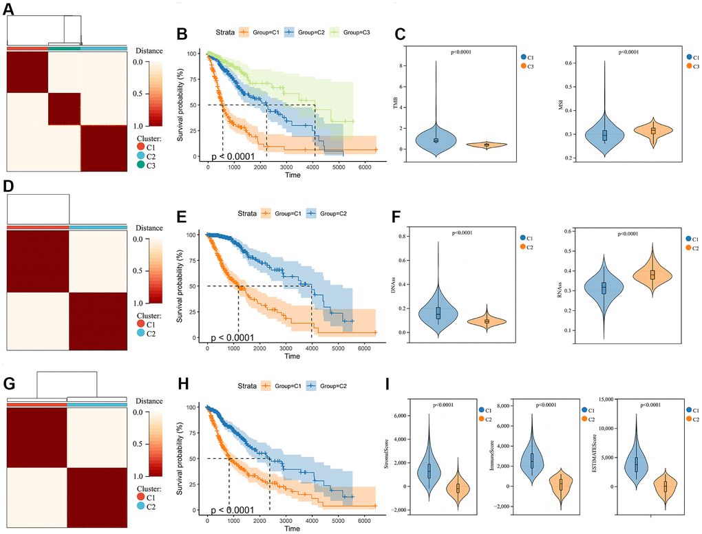 Consensus clustering analysis in glioma. (A) Consensus clustering was performed based on the genomic heterogeneity of gliomas. (B) Kaplan-Meier curves displaying prognostic differences between different clusters. (C) The differences in TMB and MSI between clusters. (D) Consensus clustering was performed based on the stemness of gliomas. (E) Kaplan-Meier curves displaying prognostic differences between different clusters. (F) The differences in DNAss and RNAss between clusters. (G) Consensus clustering is performed based on the microenvironment of gliomas. (H) Kaplan-Meier curves displaying prognostic differences between different clusters. (I) The differences in the microenvironment scores between clusters.