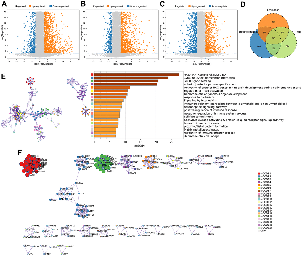 DEGs screening and enrichment analysis. (A) Differentially expressed genes (Fold change >1.5 and P B) stemness, and (C) tumor microenvironment, respectively. (D) Venn diagram showing the overlap of identified differentially expressed genes. (E) Enrichment analysis of the differentially expressed genes. (F) Protein-Protein Interaction Networks, PPI.