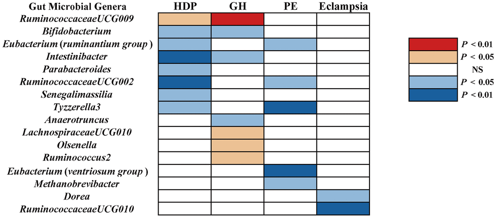The causal effect of gut microbial genera on RDP (GR, PE, and Eclampsia) identified at the nominal significance by using the IVW method (P  Red represents the risk factors for RDP, blue represents the protective factors for RDP, and white represents no causal association. RDP, hypertensive disorders in pregnancy; GR, gestational hypertension; PE, pre-eclampsia; NS, No significant association.