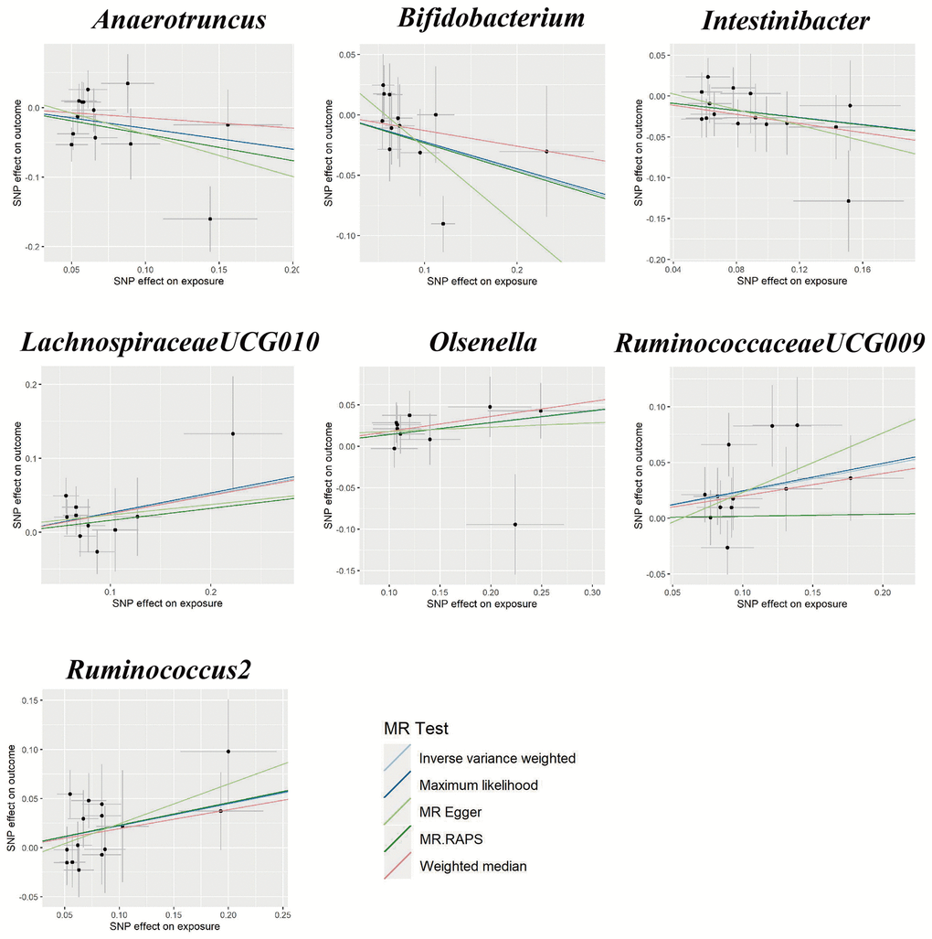 Scatter plots for the causal relationship between gut microbiota and gestational hypertension.