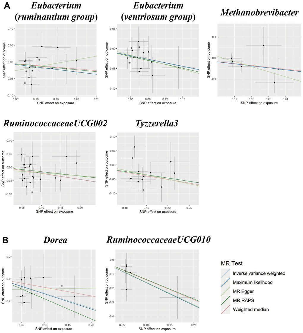 Scatter plots for the causal association between gut microbiota and (A) pre-eclampsia or (B) eclampsia.