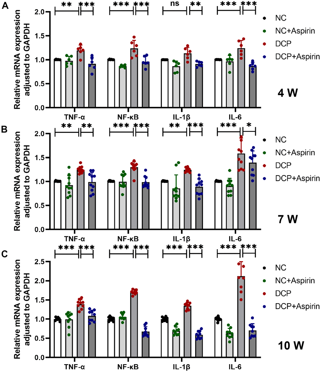 The mRNA expression levels of TNF-α, NF-κB, IL-1β and IL-6 in bladder DSM tissue of three treatment durations. (A) Statistical analysis after 4 weeks of aspirin treatment. N=3. (B) Statistical analysis after 7 weeks of aspirin treatment. N=3. (C) Statistical analysis after 10 weeks of aspirin treatment. Data were presented as mean ± SD. N=6. (ns, no significant; *, P 