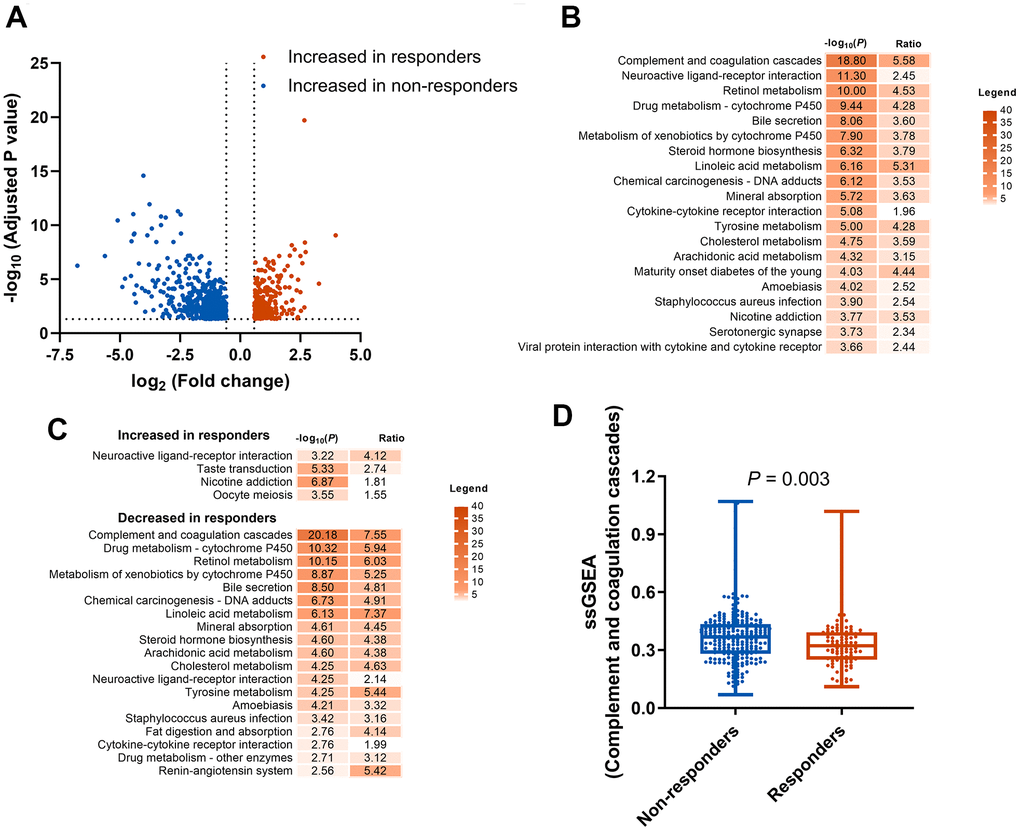 Identification and enrichment analysis of DEGs. (A) DEGs between responders (CR or PR) and non-responders (SD or PD) groups. (B) KEGG pathway enrichment analysis of the 1613 DEGs. (C) KEGG pathway enrichment analysis of the increased and decreased genes in responders. (D) Comparison of complement and coagulation cascades pathway score generated by ssGSEA between responders and non-responders. DEGs, differentially expressed genes; KEGG, Kyoto Encyclopedia of Genes and Genomes; CR, complete response; PR, partial response SD, stable disease; PD, progressive disease; ssGSEA, single sample gene set enrichment analysis.