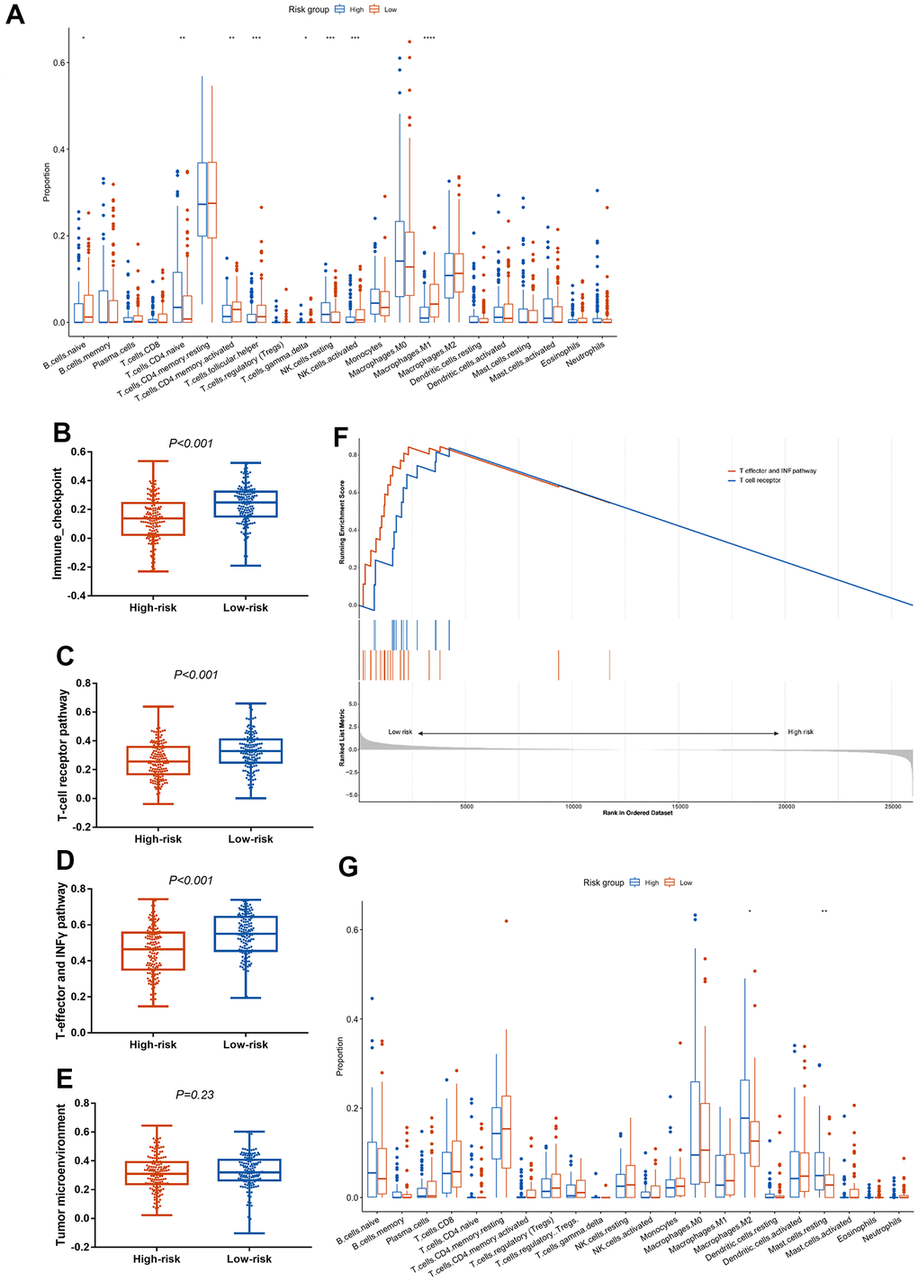 Association between the CCCP risk score and immune microenvironment in mUC and TCGA-BLCA cohort. (A) Comparison of immune cell infiltrations between patients with high- and low- risk score in mUC cohort. (B–E) Comparison of ssGSEA scores in immune checkpoint (B), T-cell receptor (C), T-effector and INF-γ (D) and tumor microenvironment (E) associated pathway between patients with high- and low-risk score. (F) GSEA enrichment analysis of T-cell receptor pathway and T-effector and INF-γ pathway in patients with high- and low-risk score. (G) Comparison of immune cell infiltrations between patients with high- and low- risk score in TCGA-BLCA cohort. mUC, metastatic urothelial carcinoma; CCCP, complement and coagulation cascades pathway; ssGSEA, single sample gene set enrichment analysis; GSEA, gene set enrichment analysis.