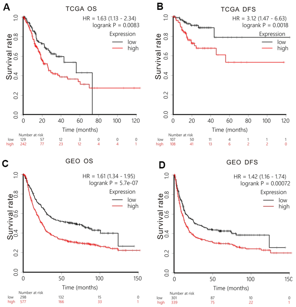 Survival analysis of GPR27 mRNA in gastric cancer. Low levels of GPR27 are correlated with longer overall time (A) and disease-free survival time (B) based on TCGA dataset. Low levels of GPR27 are related to longer overall time (C) and disease-free survival time (D) based on KM Plotter (http://kmplot.com).