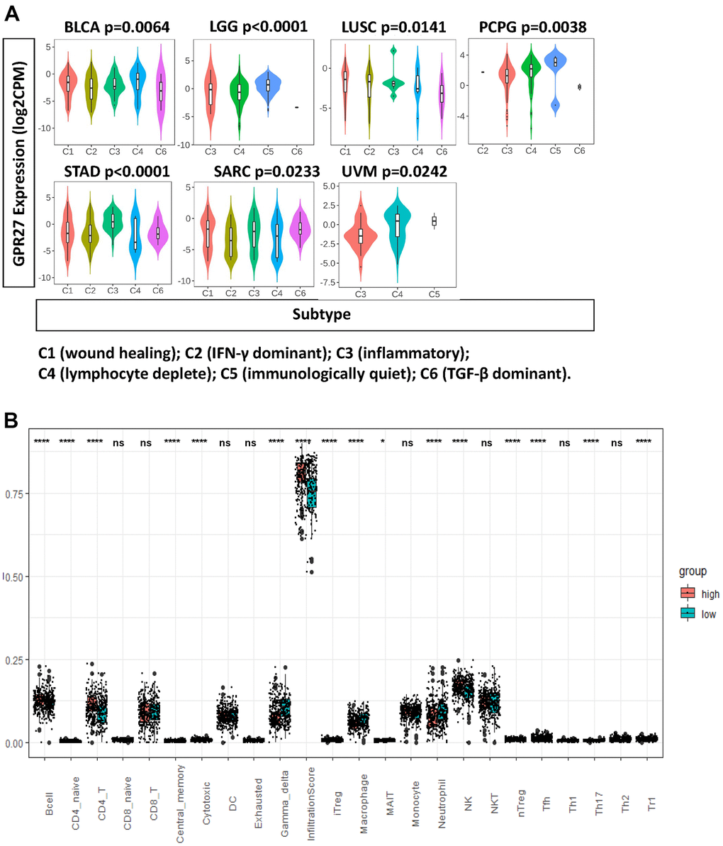 GPR27 is associated with immune infiltration in several human cancers. (A) GPR27 mRNA expression in different immune subtypes in BLCA, LGG, LUSC, PCPG, STAD, SARC, UVM from TISIDB (http://cis.hku.hk/TISIDB/index.php), (B) The fraction of tumor infiltrating immune cells in GPR27 high and low subgroups.