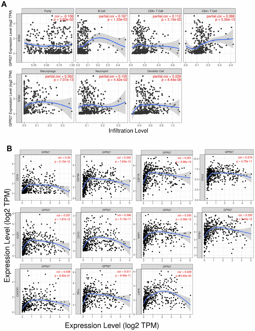 Correlation between GPR27 and immune cells from TIMER (https://cistrome.shinyapps.io/timer/). (A) The correlation of the expression of GPR27 with the infiltration of different immune cells. (B) The correlation of the expression of GPR27 and gene markers of immune cells.