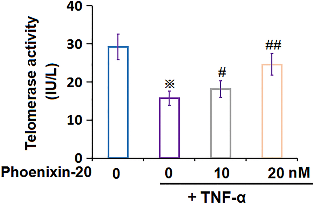 Phoenixin-20 attenuated TNF-α-induced reduction of telomerase activity in RA-FLSs. RA-FLSs were stimulated with TNF-α (10 ng/mL) with or without Phoenixin-20 (10, 20 nM) for 7 days. Telomerase activity was measured (※P #, ##, P N = 5–6).