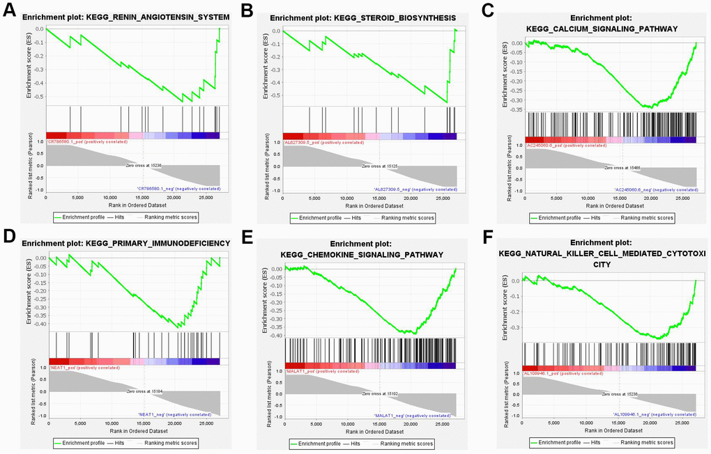 Six most significant enriched KEGG pathway of 10 lncRNAs. (A) Renin-angiotensin system (NES=-1.913, P  0.05). (B) Steroid biosynthesis (NES=-1.999, P  0.05). (C) Calcium signaling pathway (NES=-2.162, P  0.05). (D) Primary immunodeficiency (NES=-1.884, P  0.05). (E) Chemokine signaling pathway (NES=-2.475, P  0.05). (F) Natural killer cell mediated cytotoxicity (NES=-2.118, P  0.05). NES: normalized enrichment score.