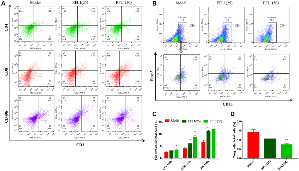 Measurements of T lymphocytes using flow cytometry. (A, B) Representative images of tumor-infiltrating CD4+, CD8+, NK1.1+ T cells and Tregs. (C, D) Statistical results of tumor-infiltrating CD4+, CD8+, CD49b+ T cells and Tregs. n = 3. Data were compared using one-way ANOVA with Dunnett’s post hoc. *P **P 