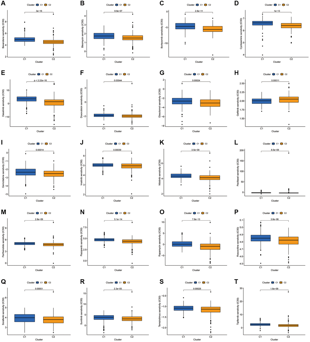 Investigation of drug sensitivity. (A–T) Boxplots of IC50 values for different agents in the two clusters.