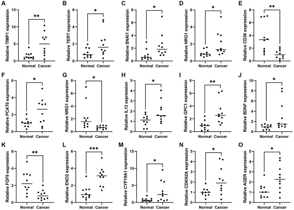 Expression of CAFRs-related genes in COAD and adjacent normal tissues. (A–O) mRNA expression levels of the 15 CAFRs-related genes in COAD and adjacent normal tissues (n = 10). *P **P ***P 