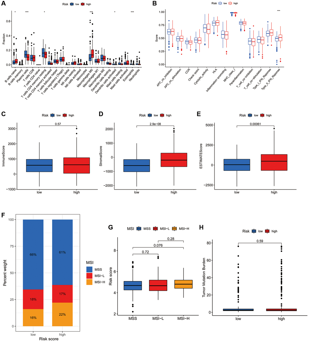 Association of the CRFRs with the immune microenvironment of COAD. (A) Box plot showing differences in immune cells between the high- and low-risk subgroups using the CIBERSORT algorithm. (B) Box plot showing differences in immune-related functions between the high- and low-risk groups using the ssGSEA algorithm. (C–E) Stromal score, immunity score and ESTIMATE score in the two risk subgroups. (F) Histogram of proportions showing the proportion of patients with MSS, MSI-L and MSI-H in the high- and low-risk subgroups. (G) Box plot of differences in risk scores for patients in the MSS, MSI-L and MSI-H subgroups. (H) Box plot of TMB difference for the high- and low-risk subgroups. *P **P ***P 