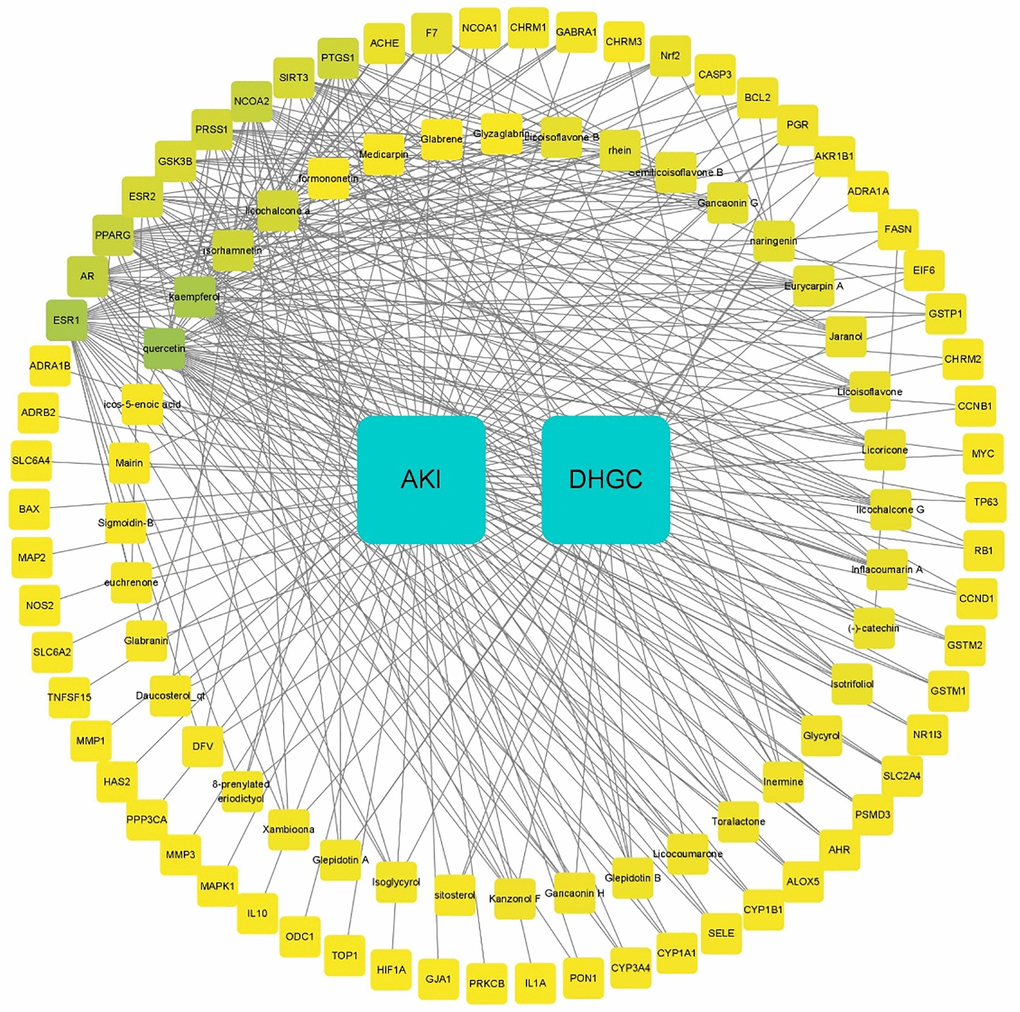 Interaction network of DHGC compound-AKI targets. The blue squares represent DHGC and AKI, the inner circle represents the active components, and the outer circle represents the target genes of the DHGC compound acting on AKI, which are divided by degree centrality (DC) values. Blue indicates a higher DC value. The number of edges connected to the node in the network represents the degree of freedom.