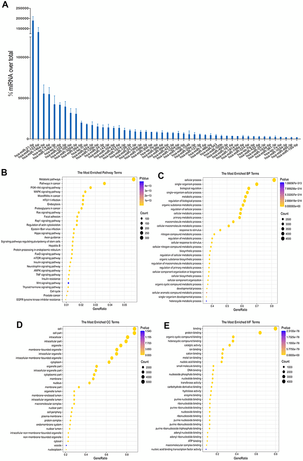Sequencing and bioinformatics analysis of miRNAs in hUC-MSCs-Exos. (A) Top 50 highly expressed hUC-MSCs-Exos miRNAs. (B–E) KEGG and GO (GO molecular function, GO biological process and GO cellular component) analysis of genes regulated by the top 50 highly expressed miRNAs of hUC-MSCs-Exos. The color of bars indicates p values, and p