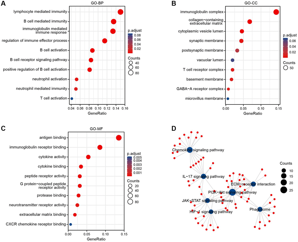 Enrichment analysis of BTN2A2 in glioma. (A–C) The GO enrichment analysis was performed on BTN2A2 using TCGA. (D) The KEGG pathway analysis of BTN2A2 using the TCGA database.