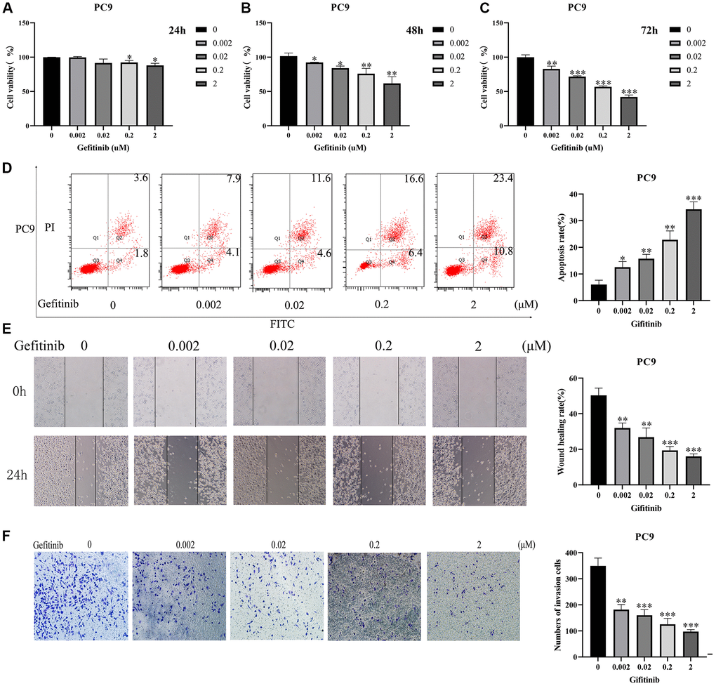 Gefitinib could inhibit cancer cell growth and migration. (A–C) Cell viability; (D) Cell apoptosis; (E) Cell Migration; (F) Cell Invasion.